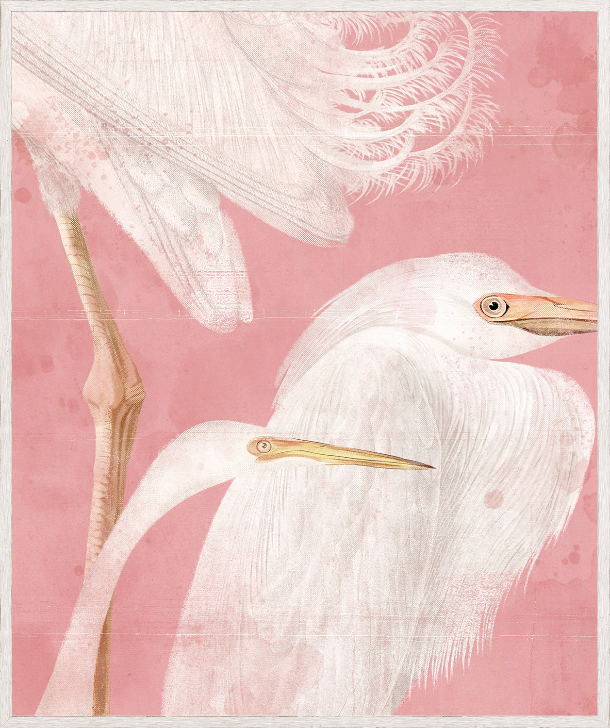 Pearled Aquatics I wall art featuring white herons on a pink background