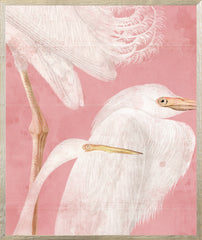 21 × 25 po