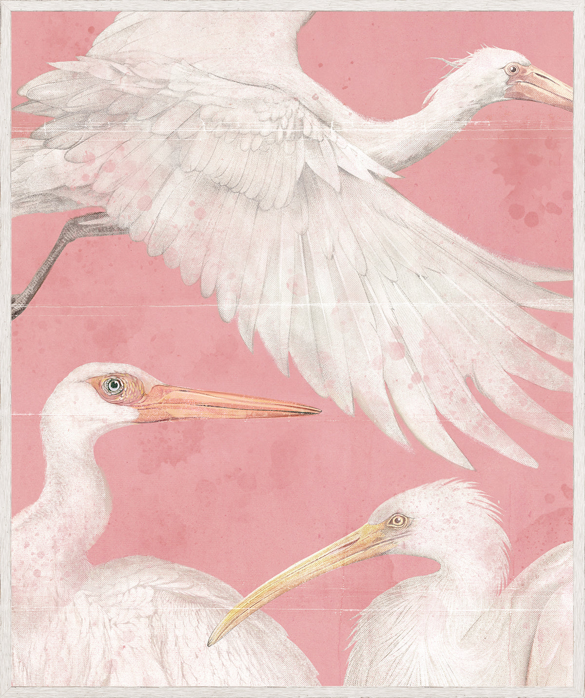 Pearled Aquatics II wall art featuring white birds on a pink background, detailed illustration.