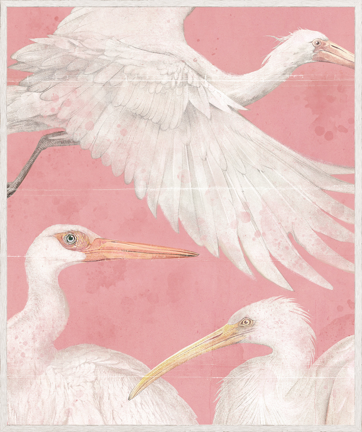 Pearled Aquatics II wall art featuring white birds on a pink background, detailed illustration.