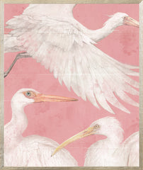 21 × 25 po
