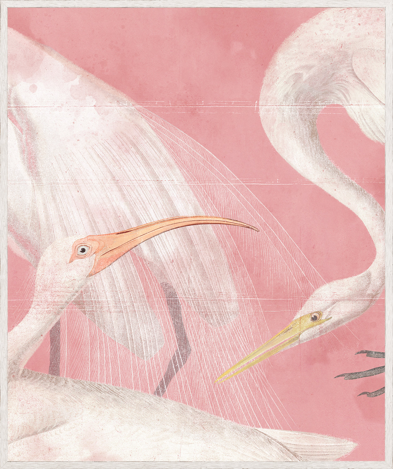 Pearled Aquatics III wall art featuring pink background with detailed illustrations of birds