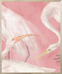 21 × 25 po