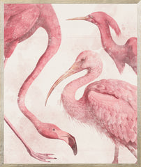 21 × 25 po