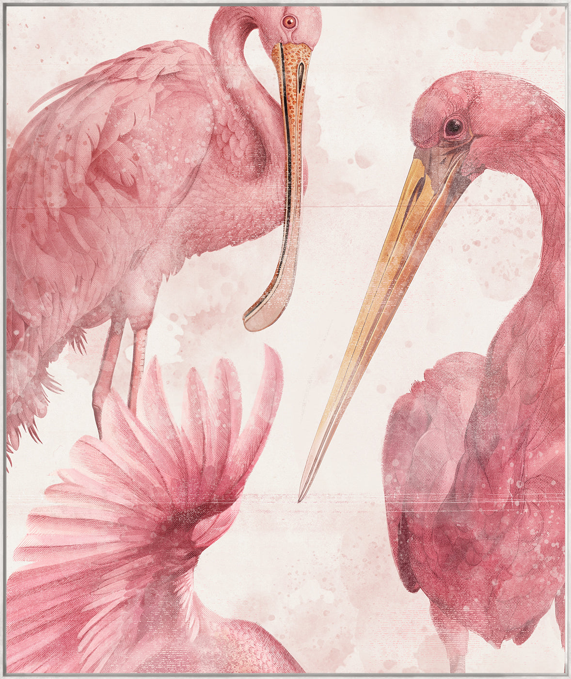 Roseate Aquatics II — nature and landscape fine art print shown from another angle
