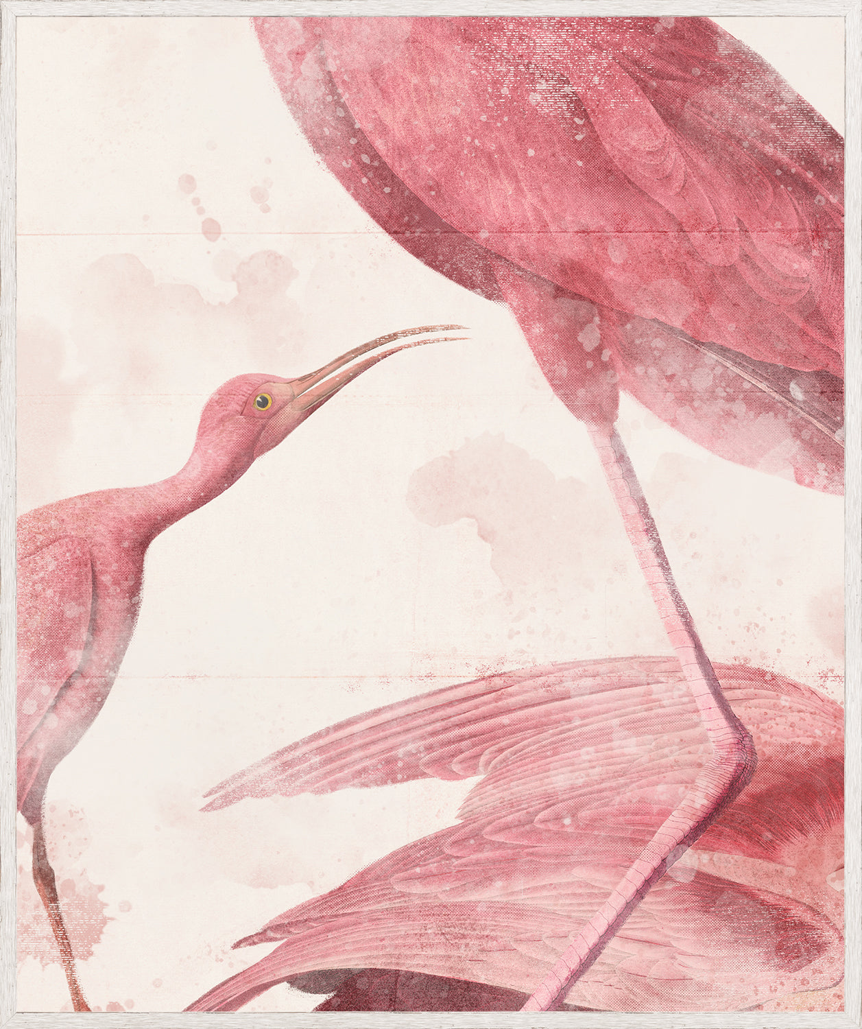 Roseate Aquatics III wall art featuring pink birds on a soft background