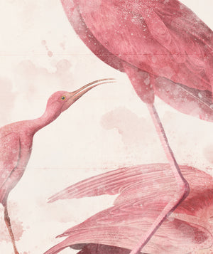Roseate Aquatics III — nature and landscape fine art print shown from another angle