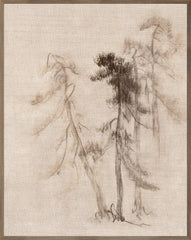 31 × 39 po