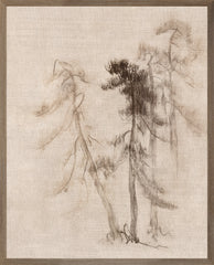 21 × 26 po