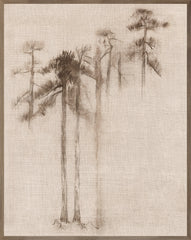 31 × 39 po
