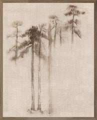 21 × 26 po