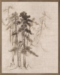 21 × 26 po
