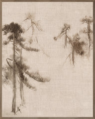 31 × 39 po