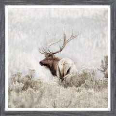 20 × 20 po – Cadre Gris