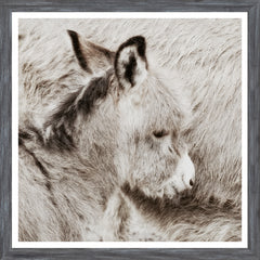 20 × 20 po – Cadre Gris