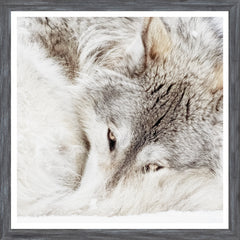 20 × 20 po – Cadre gris