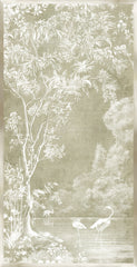 31,75 × 61,75 po – Mousse