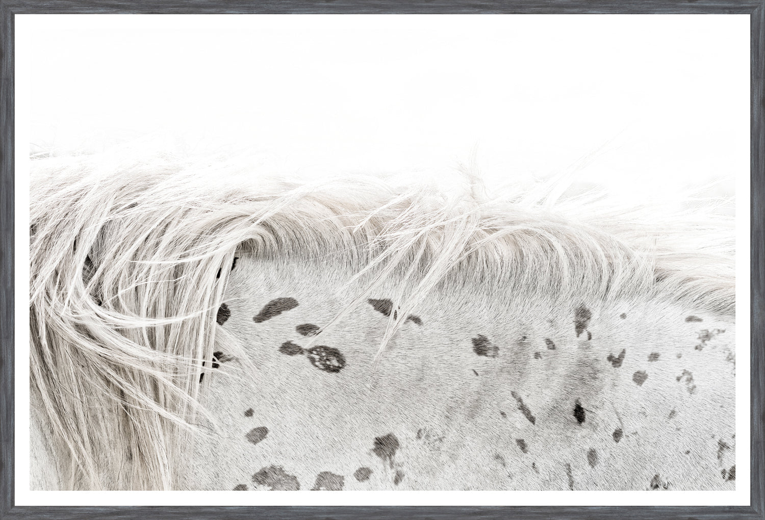 Petite Wildlife — Hedgehog & Appaloosa Pair Bundle