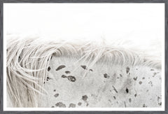 50 × 34 po – Cadre Gris