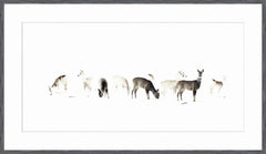 62 × 36 pouces – Cadre gris