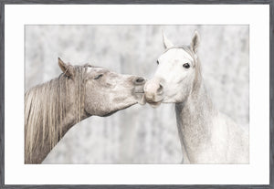 Homage — nature and landscape fine art print in neutral tones at Laurie Yapp Home