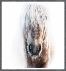 38 × 41 po – Cadre Gris