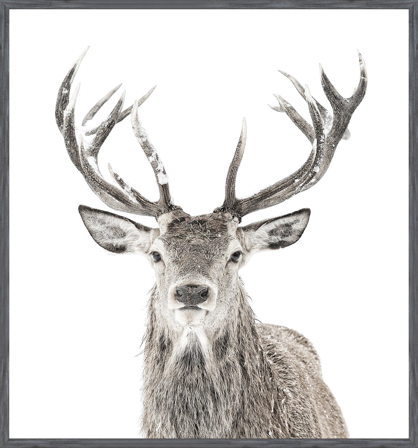Stag & New Woodland Denizen Pair Bundle — nature and landscape fine art print in warm tones at Laurie Yapp Home