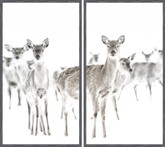 52 × 58,5 po – Cadre gris