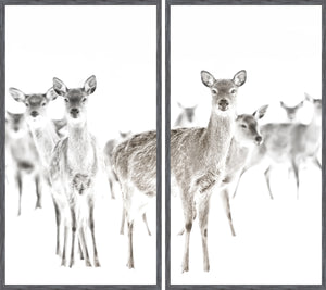 Surveillance — nature and landscape fine art print shown from another angle