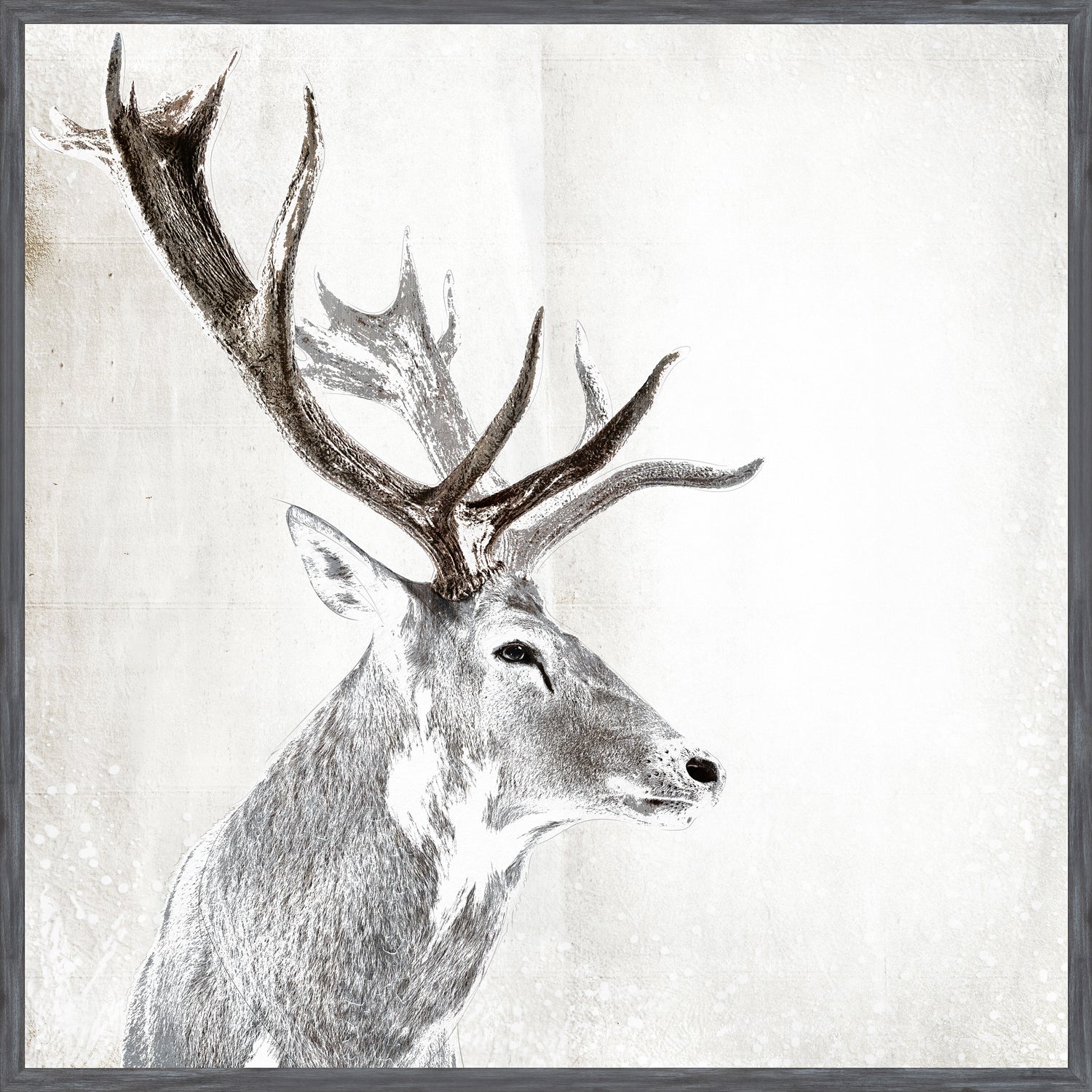 Stag Portrait — nature and landscape fine art print in neutral tones at Laurie Yapp Home