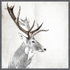 42 × 42 po – Cadre Gris
