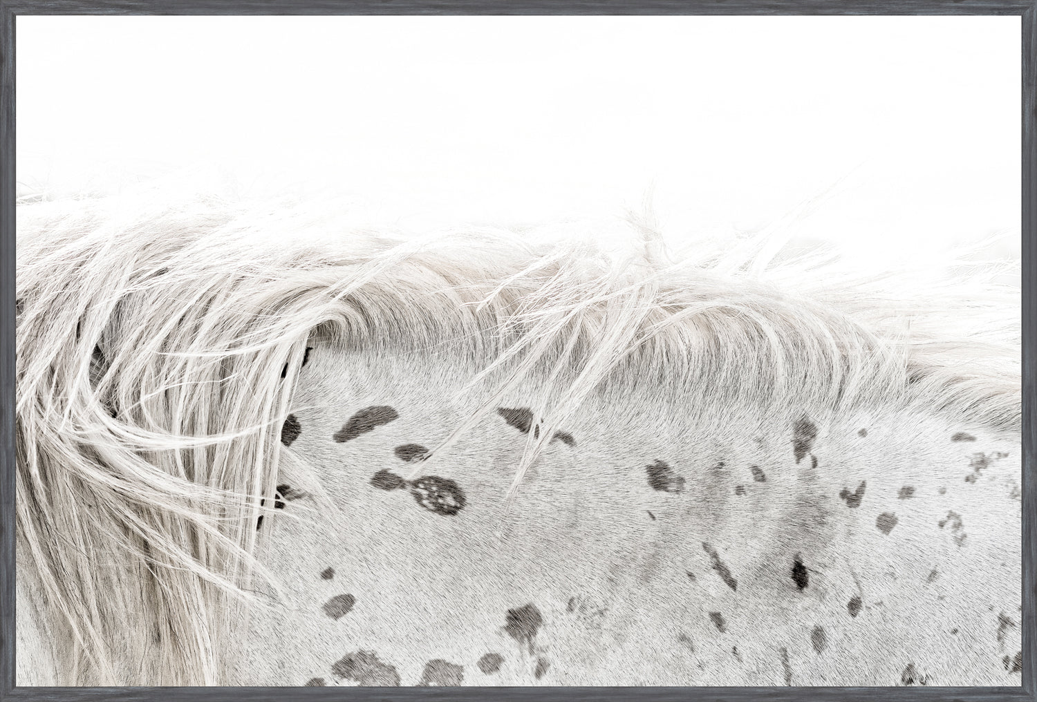 Appaloosa — nature and landscape fine art print in neutral tones at Laurie Yapp Home