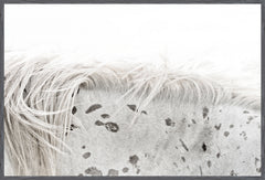 62 × 42 po – Cadre Gris