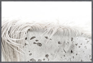 Appaloosa — nature and landscape fine art print in neutral tones at Laurie Yapp Home