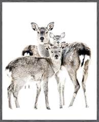 42 × 52 pouces – Cadre gris