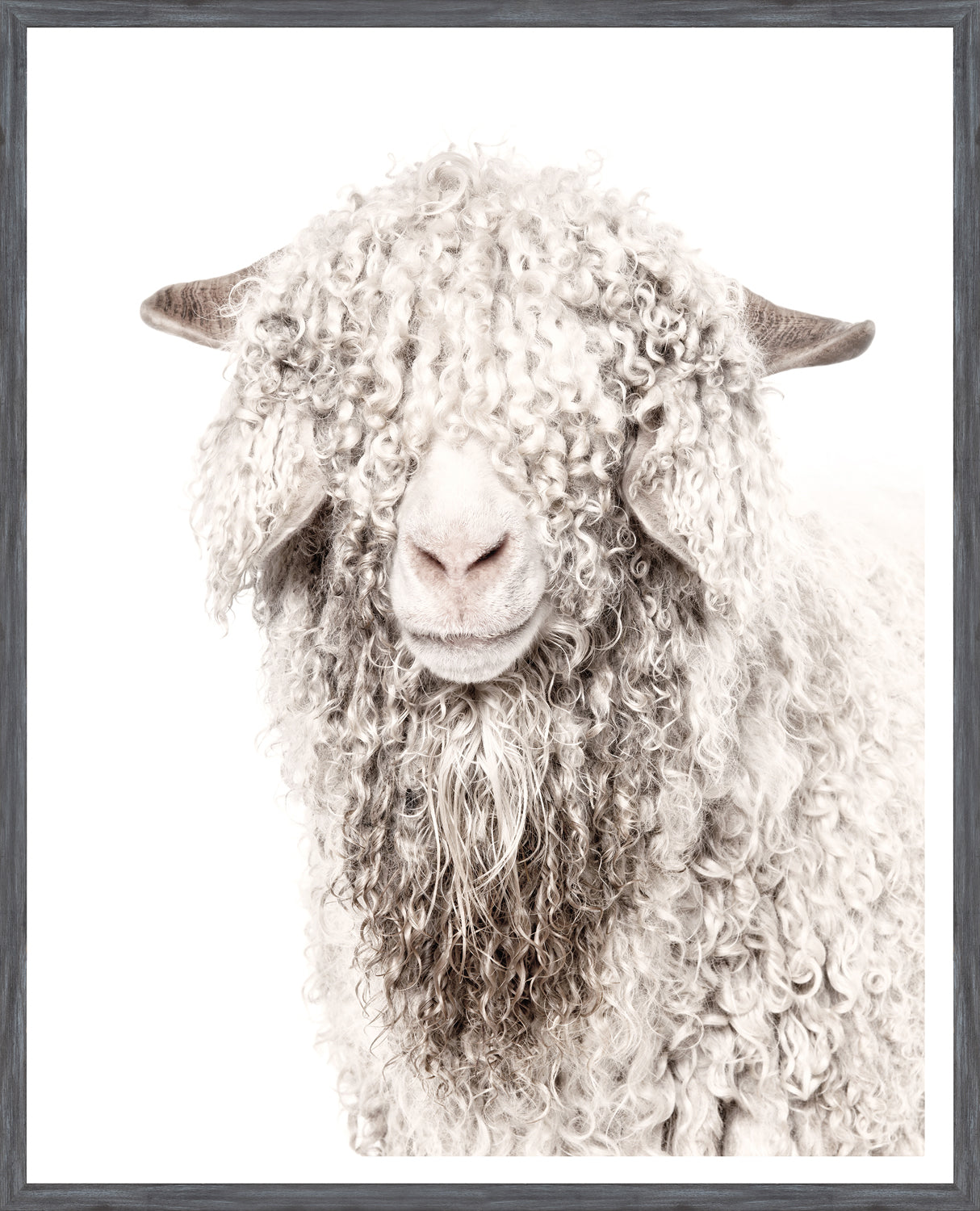 Angora Goat — nature and landscape fine art print shown from another angle