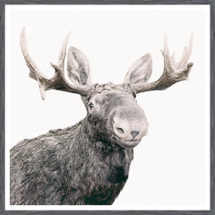 42 × 42 po – Cadre Gris