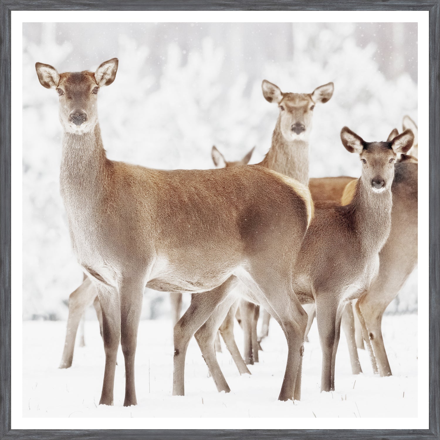 Doe Deer — nature and landscape fine art print shown from another angle