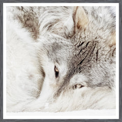 38 × 38 po – Cadre gris