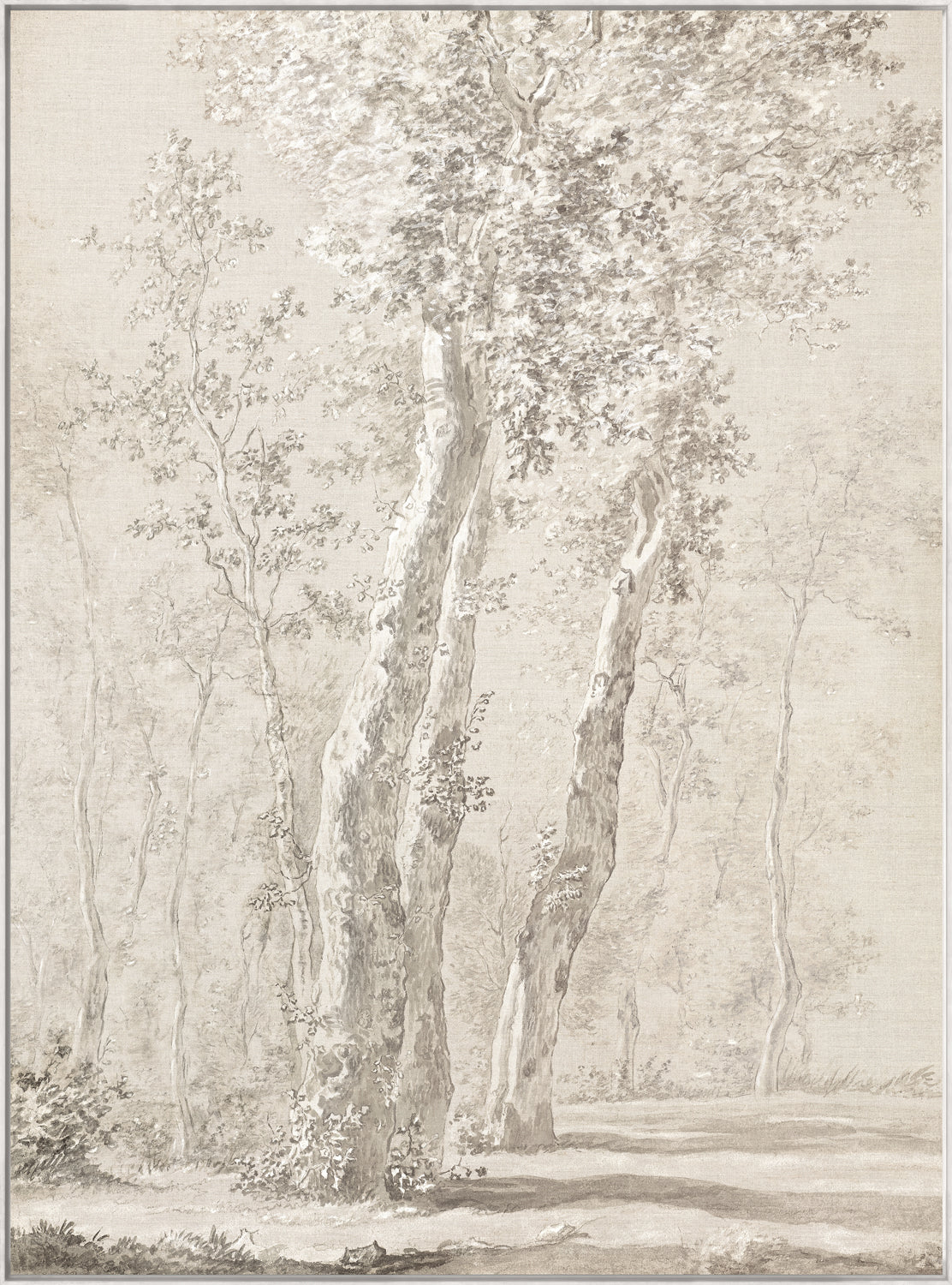 Sunlit Trees C. 1822 wall art featuring detailed tree illustrations in soft beige tones.