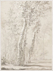 89,54 × 120,02 cm – Encadré sous verre