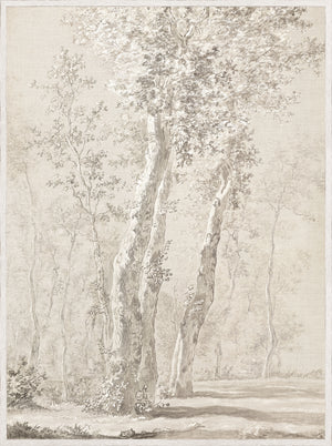 Sunlit Trees C. 1822 — nature and landscape fine art print shown from another angle