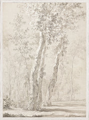 59,06 × 79,38 cm – Cadre en verre