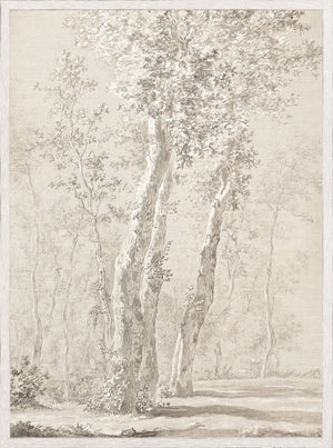 Sunlit Trees C. 1822 — nature and landscape fine art print shown from another angle