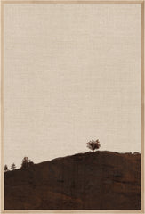 31,5 × 46,5 po