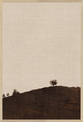 17 × 25 po