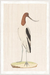 37,25 × 55,25 po
