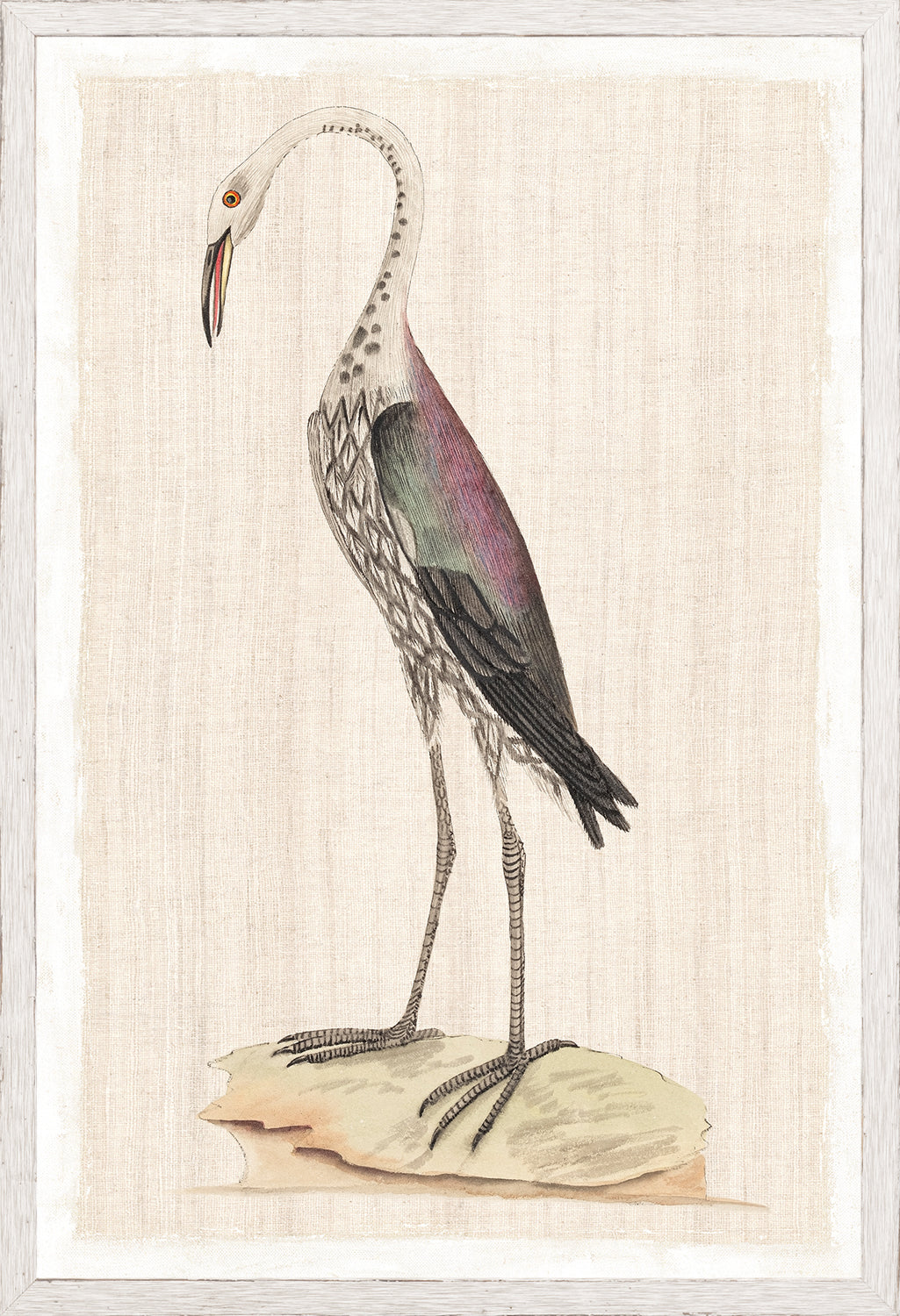 Watercolour Birds Dark Rail C 1790 framed art print