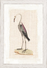 7 × 10 po