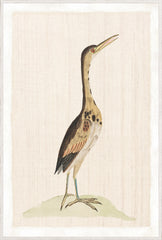 37,25 × 55,25 po